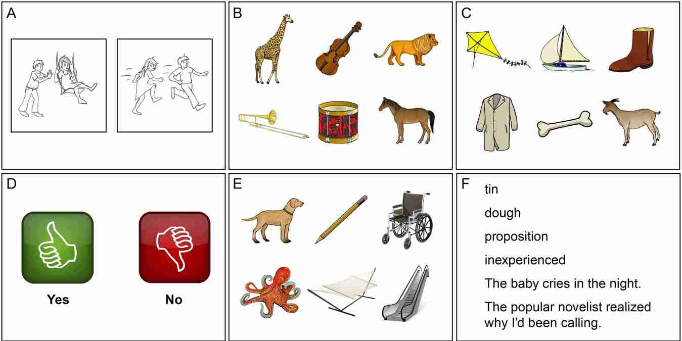 Resources -- Language Neuroscience Laboratory